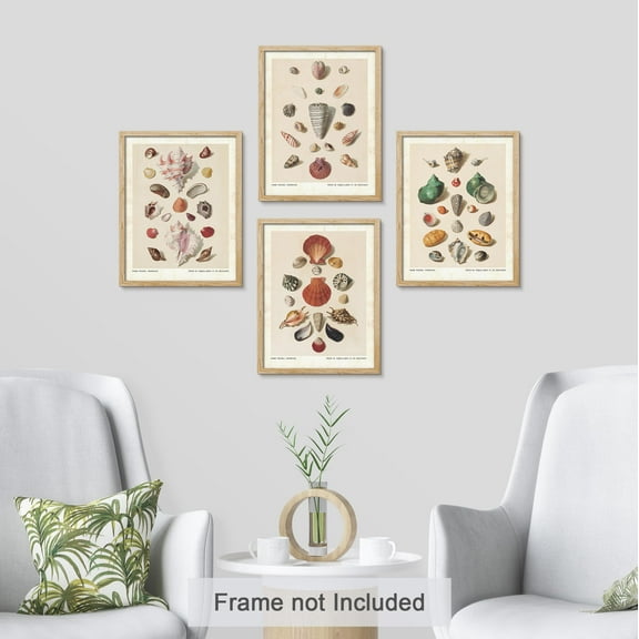 PixonSign Adhesive Wall Art Old-World Shell Collection Maritime Themed Posters, Set of 4 Classic Vintage Seaside Canvas Prints, Retro Nature Landscape Prints Wall Décor for Home - 12"x16"