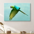 thumbnail image 1 of PixonSign Canvas Print Wall Art Aquamarine Flying Parrot Animals Wilderness Photography Realism Glam Aerial Colorful Multicolor Ultra for Living Room, Bedroom, Office - 24x36, 1 of 4