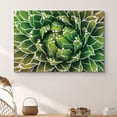 thumbnail image 1 of PixonSign Canvas Print Wall Art Blossoming Green and Orange Succulent Floral Wilderness Photography Realism Glam Closeup Colorful Multicolor Ultra for Living Room, Bedroom, Office - 32"x48", 1 of 5