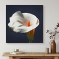 thumbnail image 1 of PixonSign Canvas Print Wall Art Crisp Detailed White Calla Lily Floral Plants Photography Realism Glam Closeup Colorful Multicolor Ultra for Living Room, Bedroom, Office - 24"x24", 1 of 5