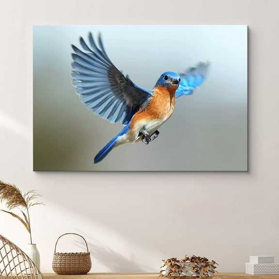 PixonSign Canvas Print Wall Art Flying Eastern Bluebird Animals Wilderness Photography Realism Glam Aerial Colorful Multicolor Ultra for Living Room, Bedroom, Office - 32x48