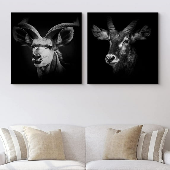 PixonSign Canvas Print Wall Art High Contrast Kudu & Goat Close-Up Animals Wildlife Photography Realism Romantics Dramatic Dark Black and White for Living Room, Bedroom, Office - 24"x24" x 2