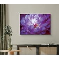 thumbnail image 1 of PixonSign Canvas Print Wall Art High Contrast Purple Peony Botanical Wilderness Photography Realism Modern Closeup Multicolor Ultra for Living Room, Bedroom, Office - 24"x36", 1 of 5