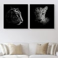 thumbnail image 1 of PixonSign Canvas Print Wall Art High Contrast Tiger & Leopard Close-Up Animals Wildlife Photography Realism Romantics Dramatic Dark Black and White for Living Room, Bedroom, Office - 24"x24" x 2, 1 of 5