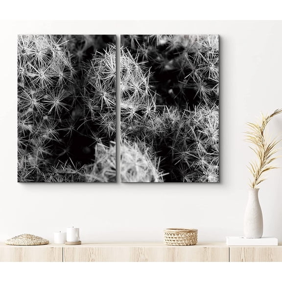 PixonSign Canvas Print Wall Art Set Albiflora Cacti Botanical Wilderness Photography Modern Art Contemporary Portrait Relax/Calm Dark Black and White for Living Room, Bedroom, Office - 16"x24"x2
