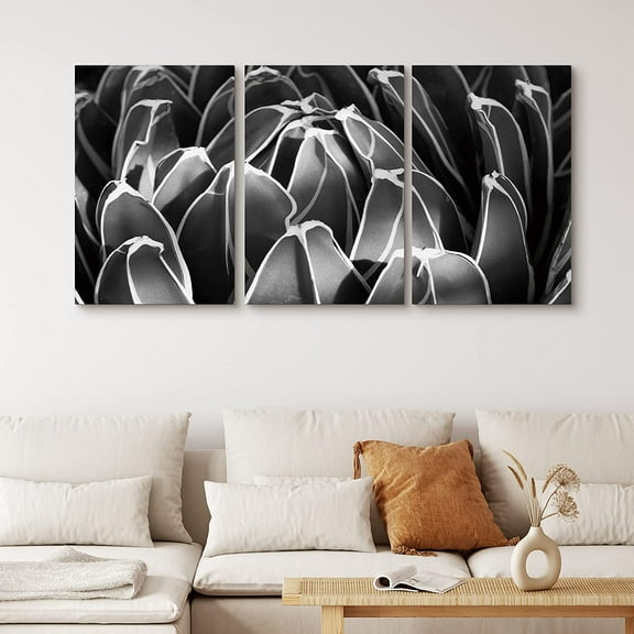 PixonSign Canvas Print Wall Art Set Blossoming Lily Pad Cactus Floral Wilderness Photography Realism Southwest Closeup Colorful Dark Black and White for Living Room, Bedroom, Office - 24"x36"x3