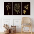 thumbnail image 1 of PixonSign Canvas Print Wall Art Set Golden Daisy and Leaves Line Art Floral Wilderness Illustrations Minimalism Farmhouse/Country Dramatic Multicolor Dark for Living Room, Bedroom, Office - 24"x36"x3, 1 of 5