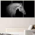 thumbnail image 1 of PixonSign Canvas Print Wall Art Set Pinhole Style Horse Portrait Animals Wildlife Photography Realism Rustic Closeup Relax/Calm Dark Black and White for Living Room, Bedroom, Office - 24"x36"x3, 1 of 5