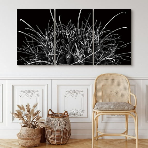 PixonSign Canvas Print Wall Art Set Silver Cactus Plant Rises Floral Wilderness Photography Realism Southwest Group Dramatic Grey Dark Black and White for Living Room, Bedroom, Office - 24"x36"x3