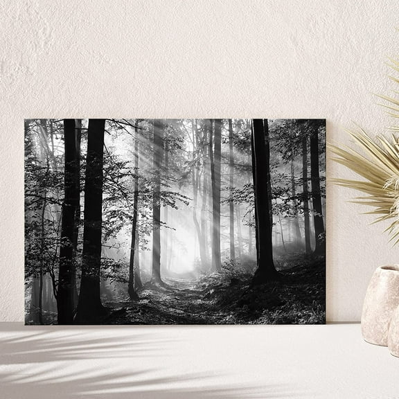 PixonSign Canvas Print Wall Art Sun Shines On Forest Floor Nature Wilderness Photography Modern Art Contemporary Landscape Dramatic Dark Black and White for Living Room, Bedroom, Office - 32x48
