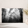 thumbnail image 1 of PixonSign Canvas Print Wall Art Sunburst ATOP Forest Ceiling Nature Wilderness Photography Modern Art Contemporary Landscape Dramatic Dark Black and White for Living Room, Bedroom, Office - 16x24, 1 of 5