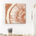 thumbnail image 1 of PixonSign Canvas Print Wall Art Underside of Orange Wood Rings Geometric Wilderness Illustrations Modern Art Minimalist Closeup Relax/Calm Multicolor Warm for Living Room, Bedroom, Office - 16"x16", 1 of 5