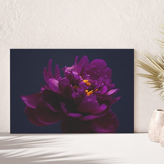 PixonSign Canvas Print Wall Art Violet Camellia on Black Background Botanical Plants Photography Modern Art Contemporary Portrait Colorful Multicolor Ultra for Living Room, Bedroom, Office - 32x48