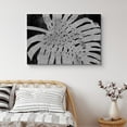 thumbnail image 1 of PixonSign Canvas Print Wall Art White Monstera Leaf Close-Up Floral Wilderness Illustrations Minimalist Chic Relax/Calm Grey Dark Black and White for Living Room, Bedroom, Office - 32"x48", 1 of 5