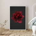 thumbnail image 1 of PixonSign Framed Canvas Print Wall Art Dark Red Floribunda Garden Rose Botanical Plants Photography Realism Farmhouse/Country Colorful Multicolor for Living Room, Bedroom, Office - 24"x36" White, 1 of 5