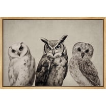 PixonSign Framed Canvas Print Wall Art Duotone Owl Portraits Vintage Antique Farmhouse Decor Nature Animals Modern Art Realism Cozy Decorative Colorful Multicolor - 16"x24" Natural