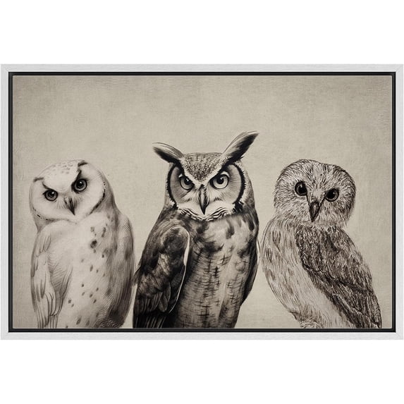 PixonSign Framed Canvas Print Wall Art Duotone Owl Portraits Vintage Antique Farmhouse Decor Nature Animals Modern Art Realism Cozy Decorative Colorful Multicolor - 24"x36" White