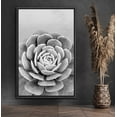 thumbnail image 1 of PixonSign Framed Canvas Print Wall Art Lily Pad Succulent Close-Up Floral Wilderness Illustrations Modern Art Rustic Relax/Calm Black and White for Living Room, Bedroom, Office - 24"x36" Black, 1 of 5