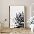 thumbnail image 1 of PixonSign Framed Canvas Print Wall Art Middle of Striped Succulent Botanical Flower Photography Modern Art Contemporary Dramatic Black and White for Living Room, Bedroom, Office - 24"x36" Natural, 1 of 5