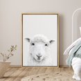 thumbnail image 1 of PixonSign Framed Canvas Print Wall Art Monotone Sheep Portrait on Gray Background Animals Wildlife Photography Minimalism Modern Closeup Whimsical for Living Room, Bedroom, Office - 16"x24" Natural, 1 of 5