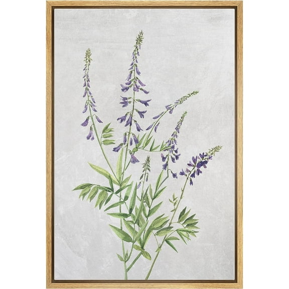 PixonSign Framed Canvas Print Wall Art Purple Gray Lavender Flower Still Life Nature Wilderness Illustrations Modern Art Botanical Floral Farmhouse/Country Relax/Calm/Cozy - 16"x24" Natural