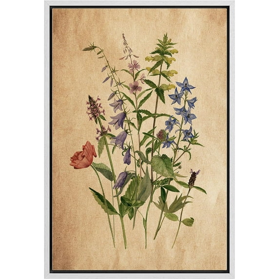 PixonSign Framed Canvas Print Wall Art Retro Antique Wildflower Still Life Nature Wilderness Illustrations Modern Art Botanical Floral Farmhouse/Country Relax/Calm/Cozy - 24"x36" White