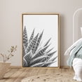 thumbnail image 1 of PixonSign Framed Canvas Print Wall Art Right Side of Zebra Plant Botanical Flower Photography Modern Art Contemporary Dramatic Dark Black and White for Living Room, Bedroom, Office - 16"x24" Natural, 1 of 5