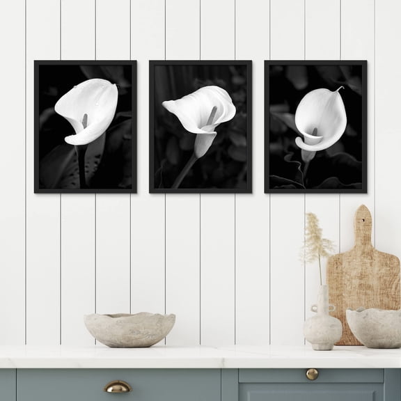 PixonSign Framed Canvas Print Wall Art Set - Black & White Calla Lily Flower Poster Art - Set of 3 Nature Wilderness Floral Plants Photography Wall Décor for Living Room - 12"x16" Black