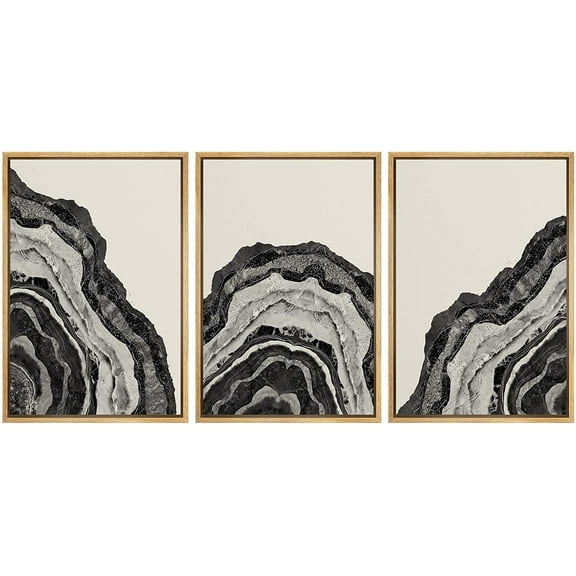 PixonSign Framed Canvas Print Wall Art Set Duotone Geometric Gemstone Spiral Circle Rings Abstract Shapes Illustrations Modern Art Boho Decorative for Living Room, Bedroom, Office - 24"x36"x3 NATURAL