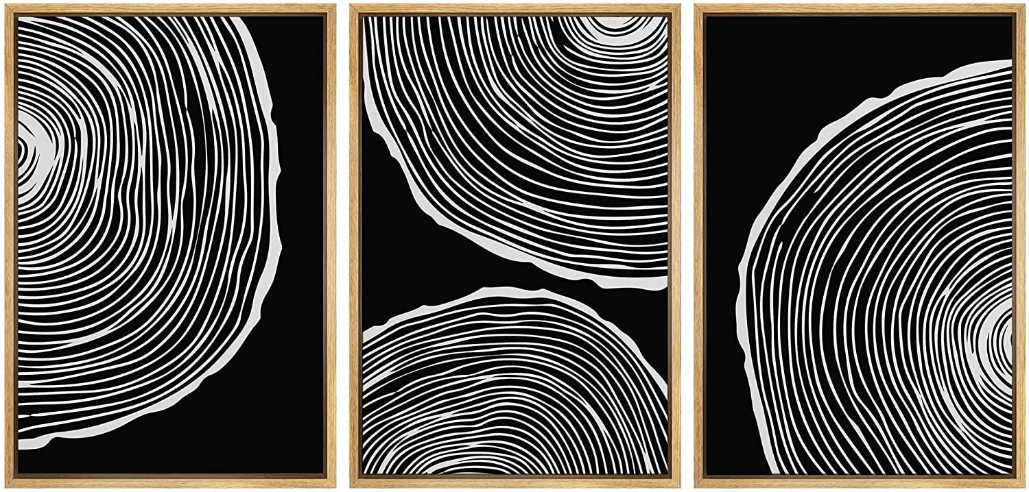PixonSign Framed Canvas Print Wall Art Set Duotone Geometric Wood Ring ...