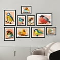 thumbnail image 1 of PixonSign Framed Canvas Print Wall Art Set - Pastel Watercolor Geometric Birds Poster Art - Spring Animals Print Gallery Set of 9 Abstract Illustrations Wall Décor for Home - Black, 1 of 5