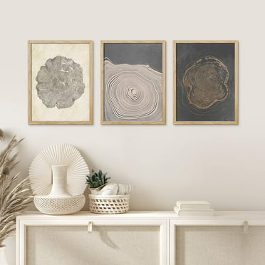 PixonSign Framed Canvas Print Wall Art Set - Pastel Wood Tree Ring Spirals Art - Set of 3 Nature Landscape Art Abstract Print Illustrations Minimalism Wall Décor - 12"x16"x3 Panels Natural