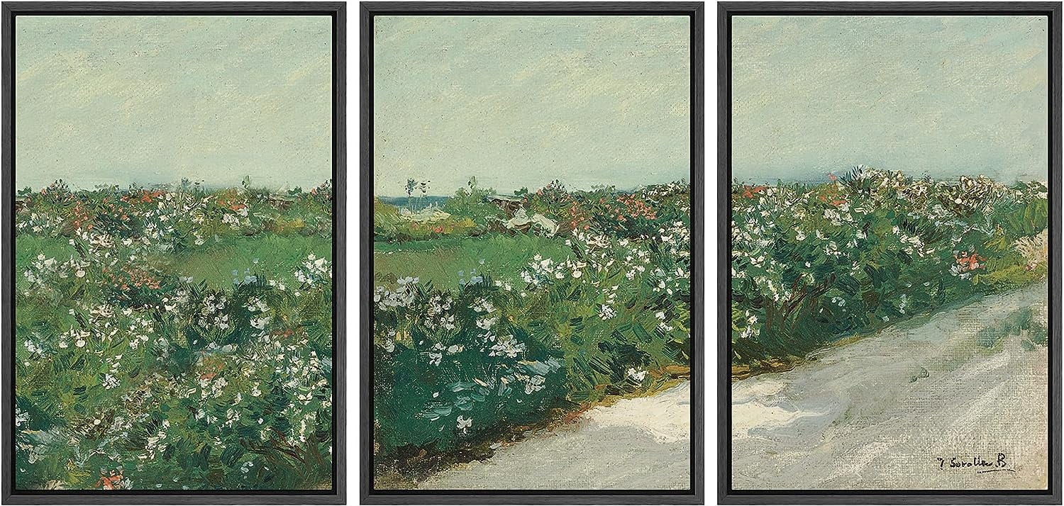 PixonSign Framed Canvas Print Wall Art Set Rustic Flower Field Country ...
