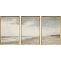 PixonSign Framed Canvas Print Wall Art Set Storm Cloud Coastal Beach Nature Wilderness Fine Art Illustrations Decorative Multicolor Landscape Rustic Country/Farmhouse - 16"x24"x3 Natural