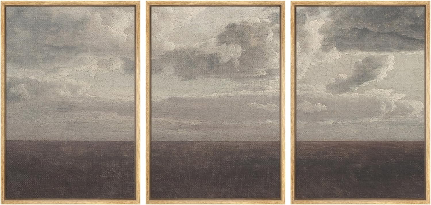 PixonSign Framed Canvas Print Wall Art Set Storm Cloud Pastoral Country ...