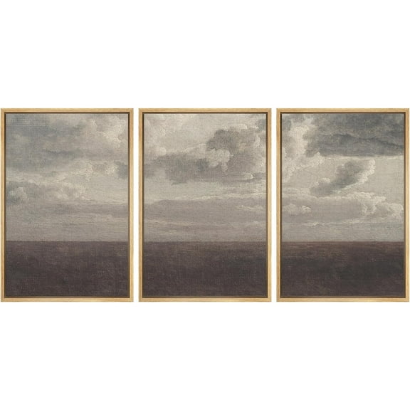 PixonSign Framed Canvas Print Wall Art Set Storm Cloud Pastoral Country Farmhouse Landscape Nature Wilderness Illustrations Modern Art Decorative Rustic Relax Colorful for Bedroom - 16"x24"x3 Natural