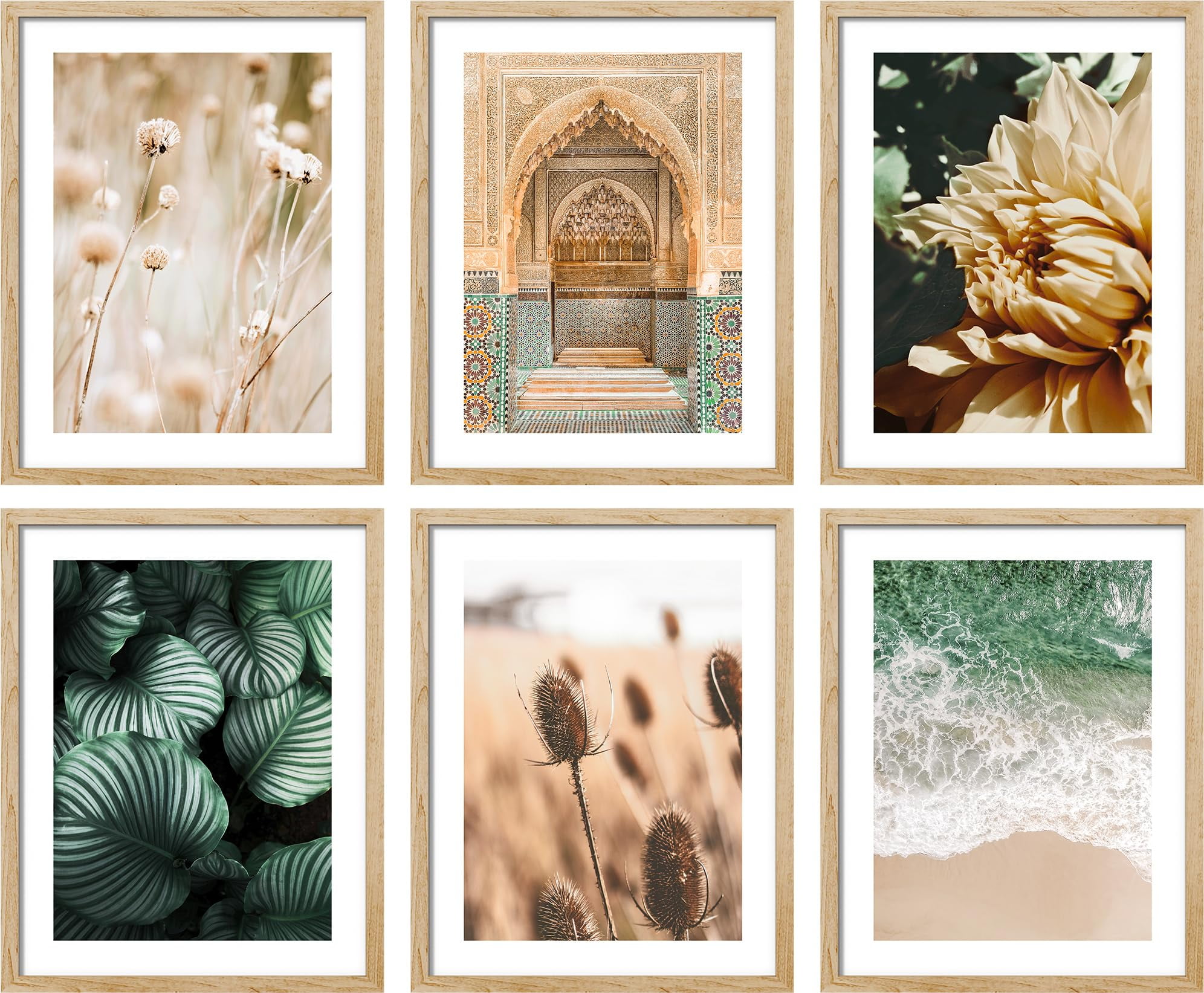 PixonSign Framed Canvas Print Wall Art Set - Varieties Plant Leaves ...