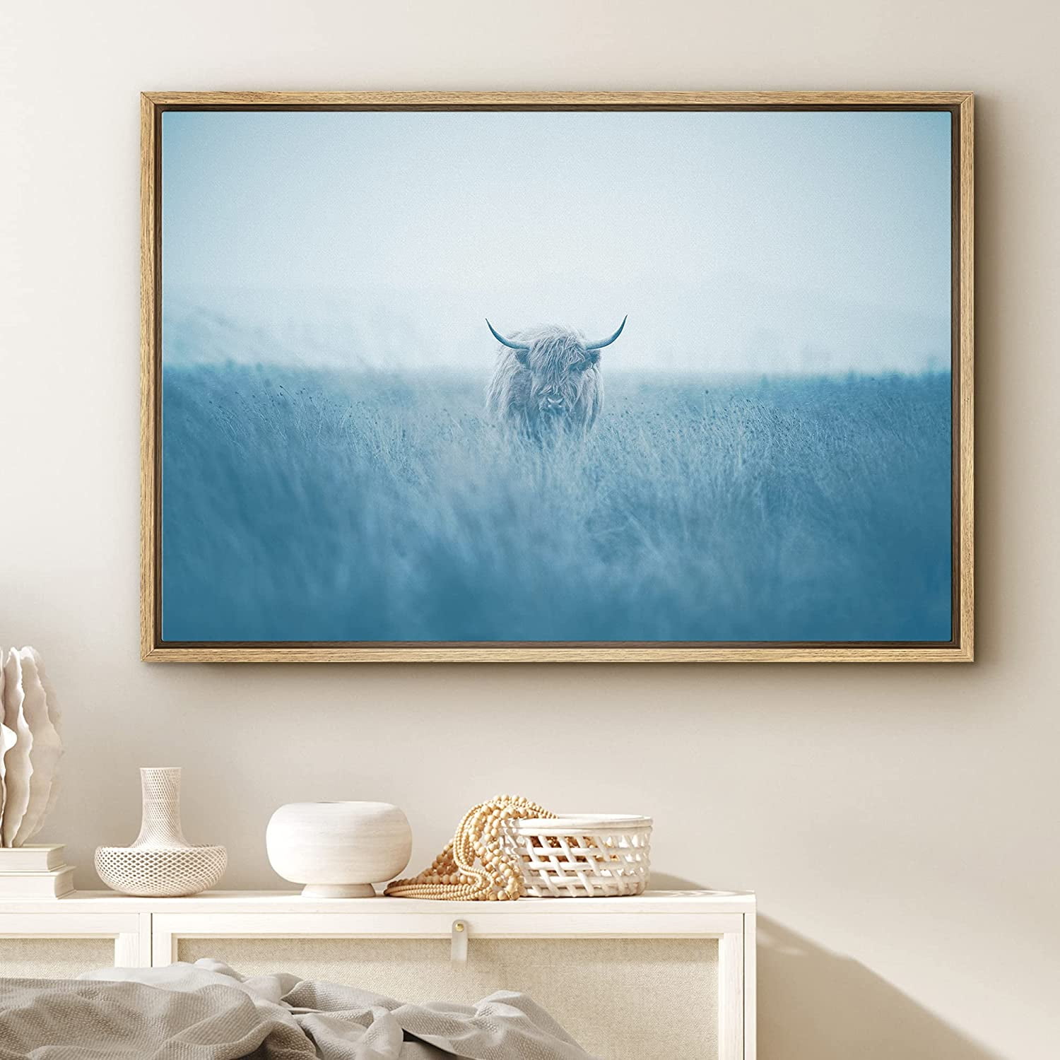 Natural Wood Framed Canvas Print of Shetland Cow in Washed Out Field