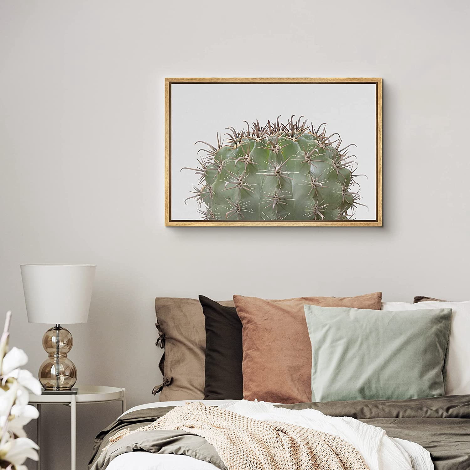PixonSign Framed Canvas Print Wall Art Spiky Ball Cactus Botanical ...