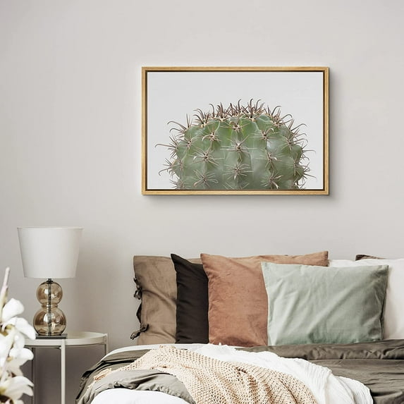PixonSign Framed Canvas Print Wall Art Spiky Ball Cactus Botanical Wilderness Photography Realism Contemporary Portrait Colorful Cool for Living Room, Bedroom, Office - 24"x36" Natural