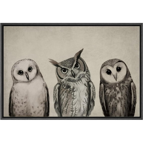 PixonSign Framed Canvas Print Wall Art Variety of Owl Portraits Vintage Antique Farmhouse Decor Nature Animals Modern Art Realism Cozy Decorative Colorful Multicolor - 16"x24" Black