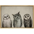 thumbnail image 1 of PixonSign Framed Canvas Print Wall Art Variety of Owl Portraits Vintage Antique Farmhouse Decor Nature Animals Modern Art Realism Cozy Decorative Colorful Multicolor - 24"x36" Natural, 1 of 5