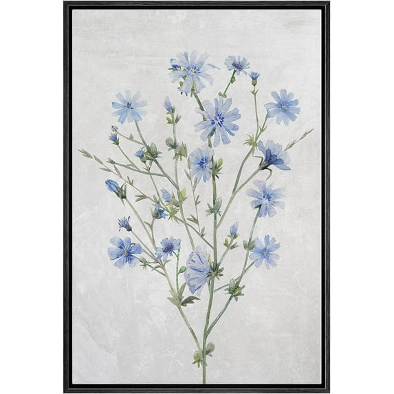 PixonSign Framed Canvas Print Wall Art Watercolor Blue Cornflower Wildflower Nature Wilderness Illustrations Modern Art Botanical Floral Farmhouse/Country Relax/Calm/Cozy - 16"x24" Black