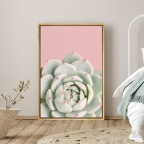 PixonSign Framed Canvas Print Wall Art White Rose Succulent Pink Background Nature Plants Photography Realism Modern Scenic Colorful Green Pastel for Living Room, Bedroom, Office - 24"x36" Natural