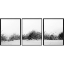 PixonSign Framed Wall Art Collage Print Gallery Set Beachgrass Bunch in Wind Nature Wilderness Photography Realism Rustic Landscape Black and White for Living Room, Bedroom, Office - 12"x16"x3 BLACK