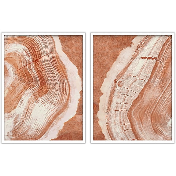 PixonSign Framed Wall Art Collage Print Gallery Set Closeup of Brown Wood Rings Nature Wilderness Photography Realism Relax/Calm Black and White for Living Room, Bedroom, Office - 12"x16"x2 WHITE