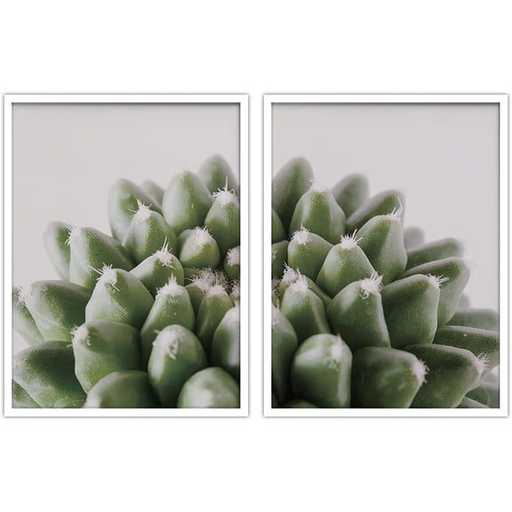 PixonSign Framed Wall Art Collage Print Gallery Set Detailed Bear Paw Succulent Botanical Plants Photography Realism Modern Relax/Calm Multicolor for Living Room, Bedroom, Office - 12"x16"x2 WHITE