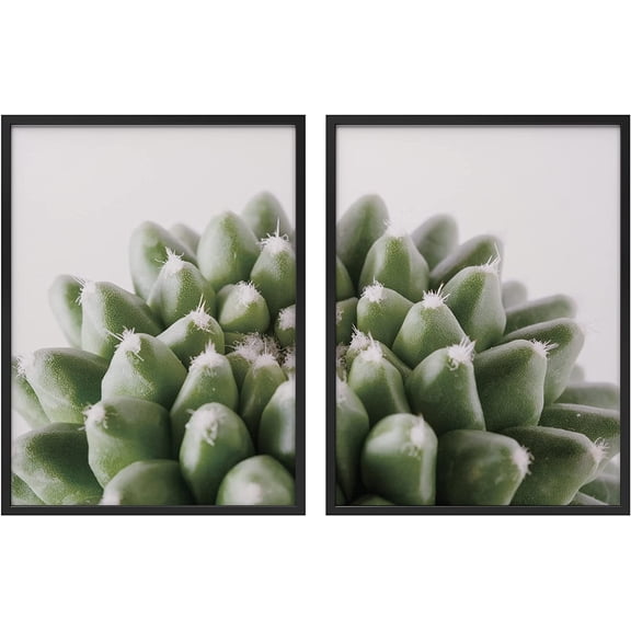 PixonSign Framed Wall Art Collage Print Gallery Set Detailed Bear Paw Succulent Botanical Plants Photography Realism Modern Relax/Calm Multicolor for Living Room, Bedroom, Office - 12"x16"x2 BLACK