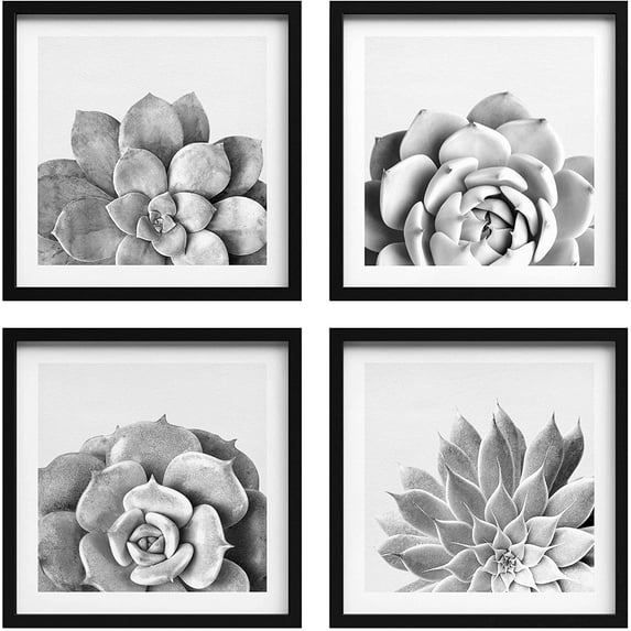 PixonSign Framed Wall Art Collage Print Gallery Set Duotone Lilypad Succulent Variety Nature Wilderness Photography Realism Chic Fun Black and White for Living Room, Bedroom, Office - 12"x12"x4 BLACK