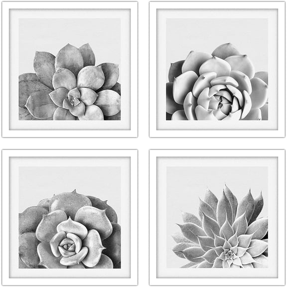 PixonSign Framed Wall Art Collage Print Gallery Set Duotone Lilypad Succulent Variety Nature Wilderness Photography Realism Chic Fun Black and White for Living Room, Bedroom, Office - 12"x12"x4 WHITE